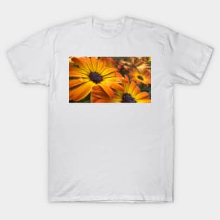 Orange Daisies With Water Drops T-Shirt